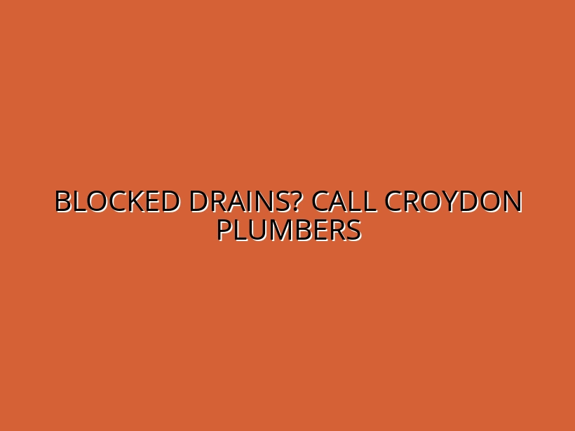 Emergency Blocked Drains Croydon: 24/7 Local Plumber Services for Fast Relief